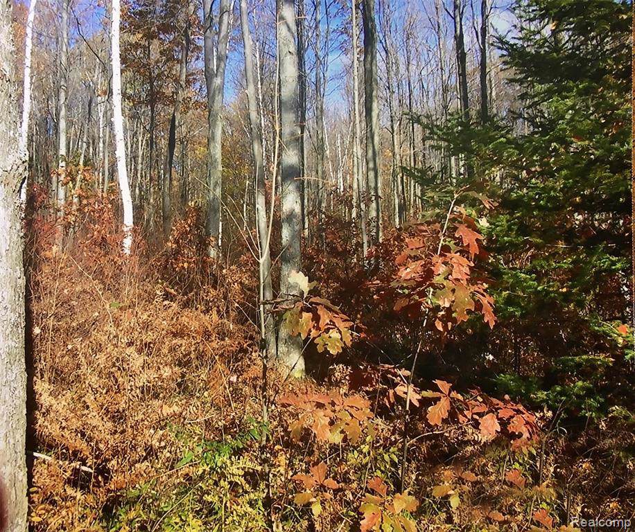 000 Autumn Drive - Photo 1