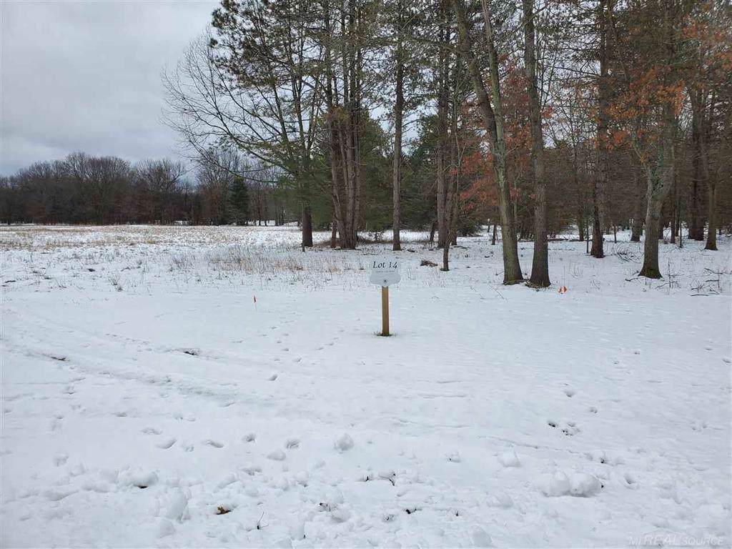 1257 Shephard Ln - Photo 1