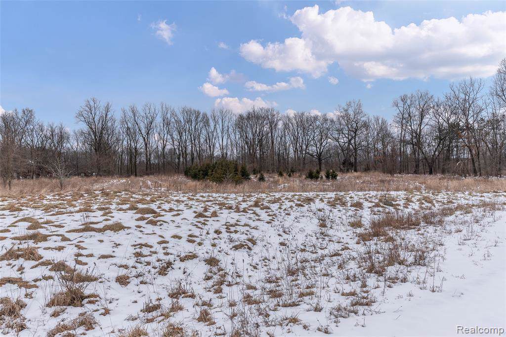 3984 Storybook Lane - Photo 1