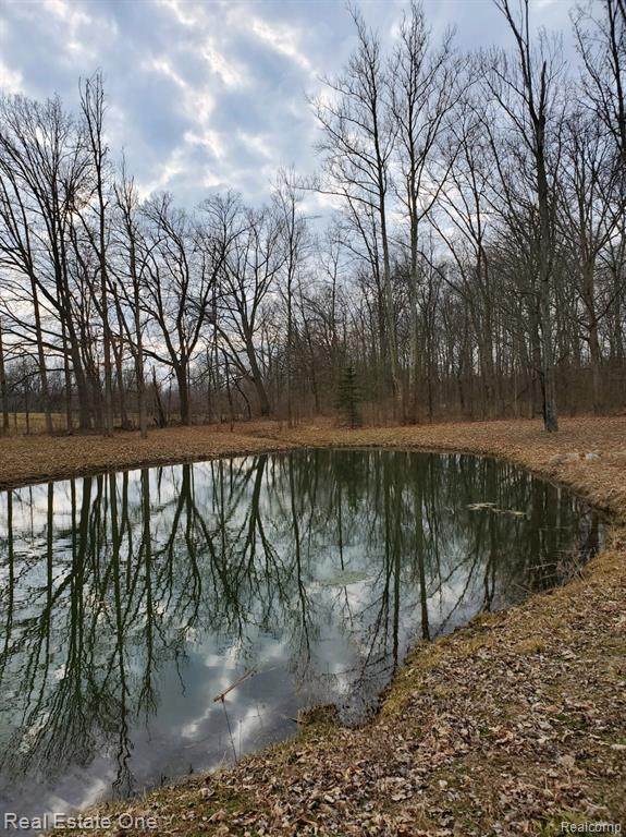 2730 Sashabaw Road Road - Photo 1