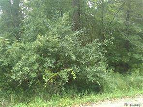 Vl Sherwood Road - Photo 1