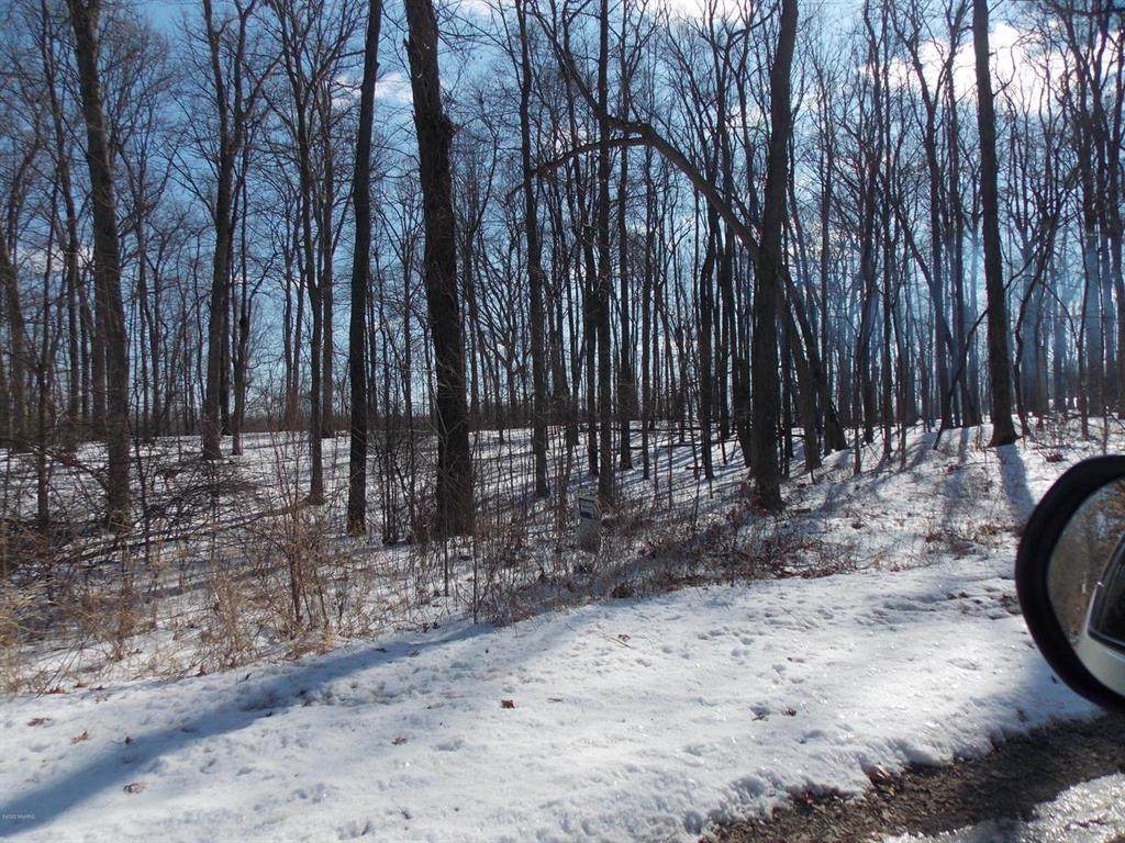 6351 Oak Ridge Dr - Photo 1