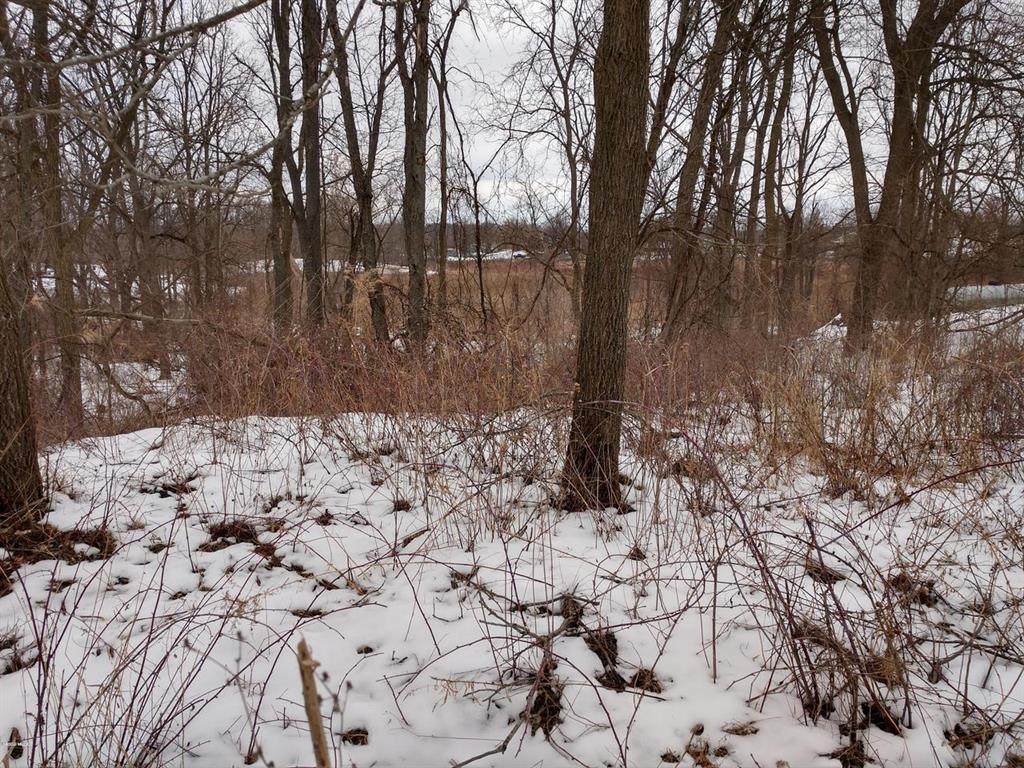 11204 Greenridge Dr - Photo 1