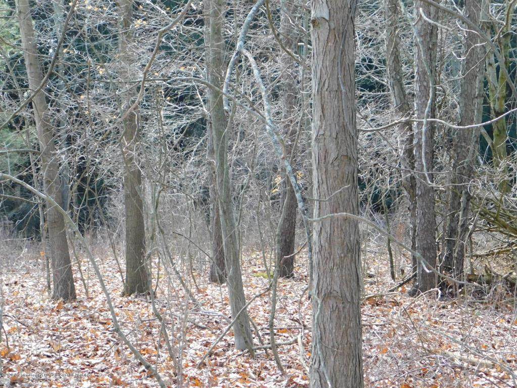 V/L M-50 - Photo 1