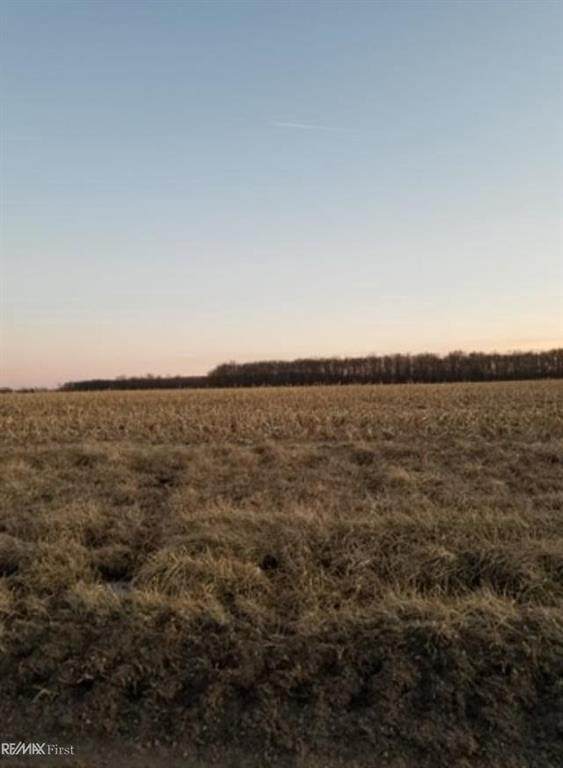 LOT 5 34 MILE RD - Photo 1 LOT 5 34 MILE RD - Photo 1
