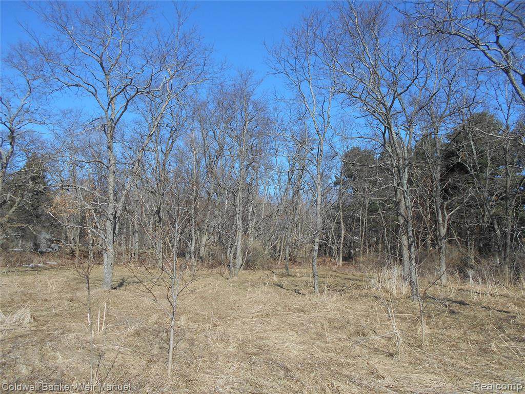 12483 Woolsey Lake Road - Photo 1