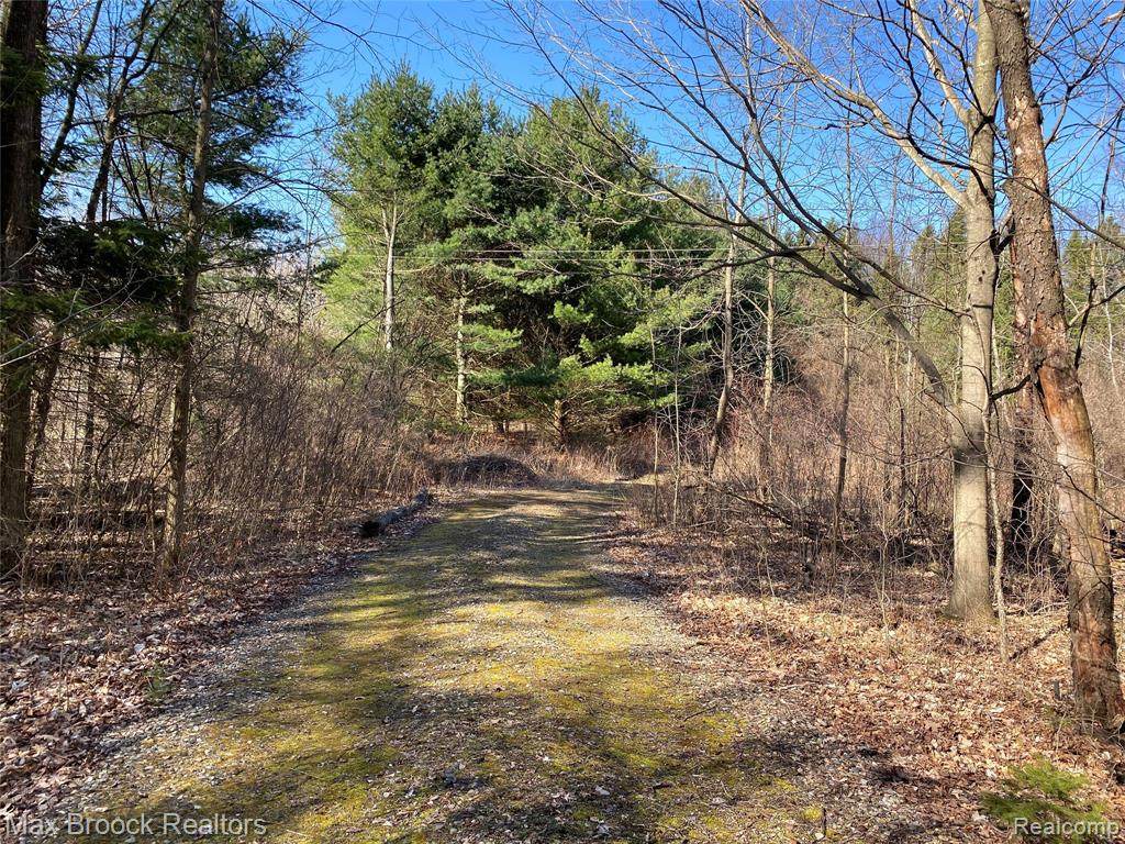 0000 Lake George Road - Photo 1