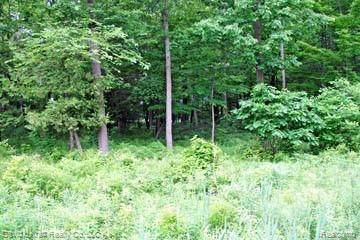LOT 10 Stagecoach Trail - Photo 1
