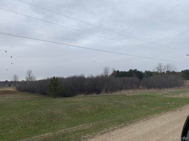 1294 Baldwin Road - Photo 1