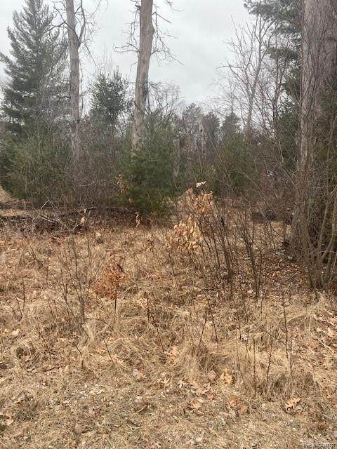 00 Wildwood - Photo 1