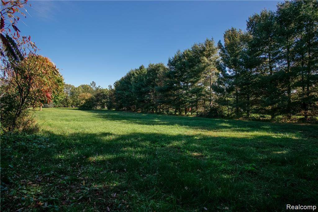 24847 Dinser Drive - Photo 1