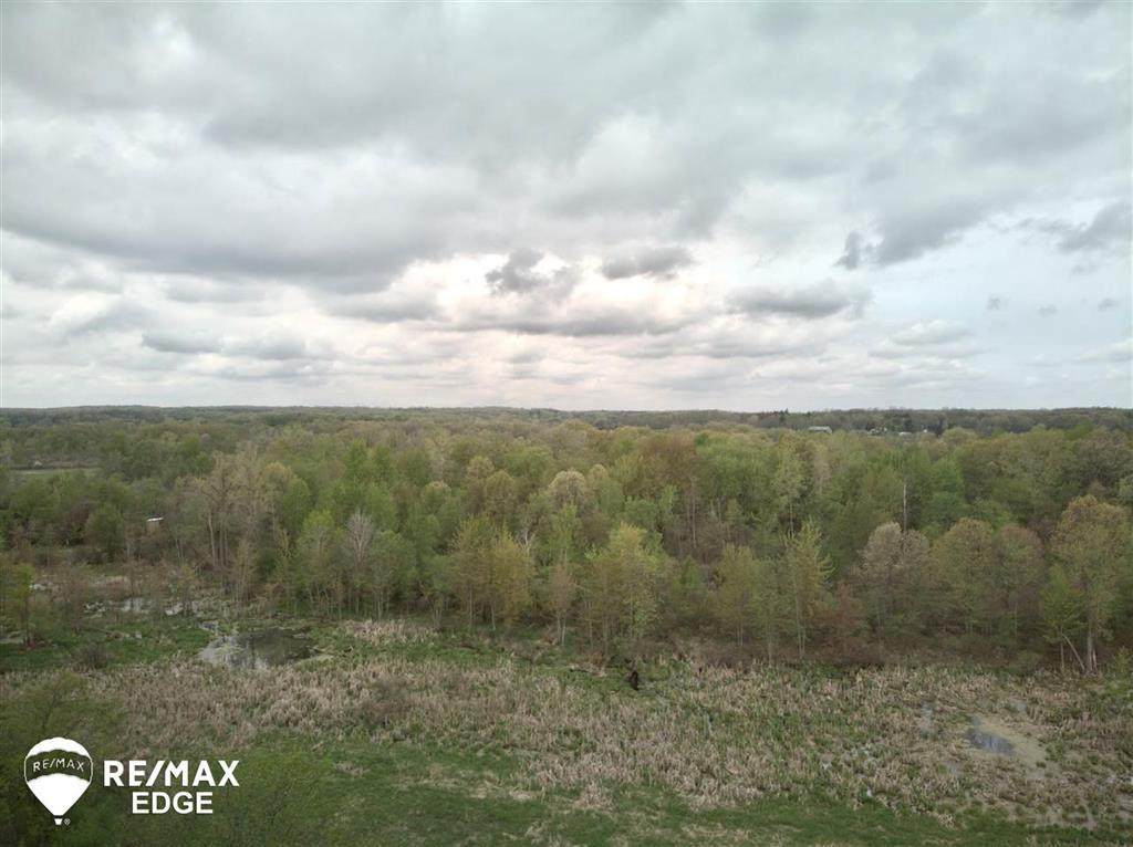 Ortonville - Photo 1