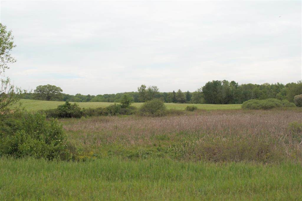 0 Walsh Road - Photo 1