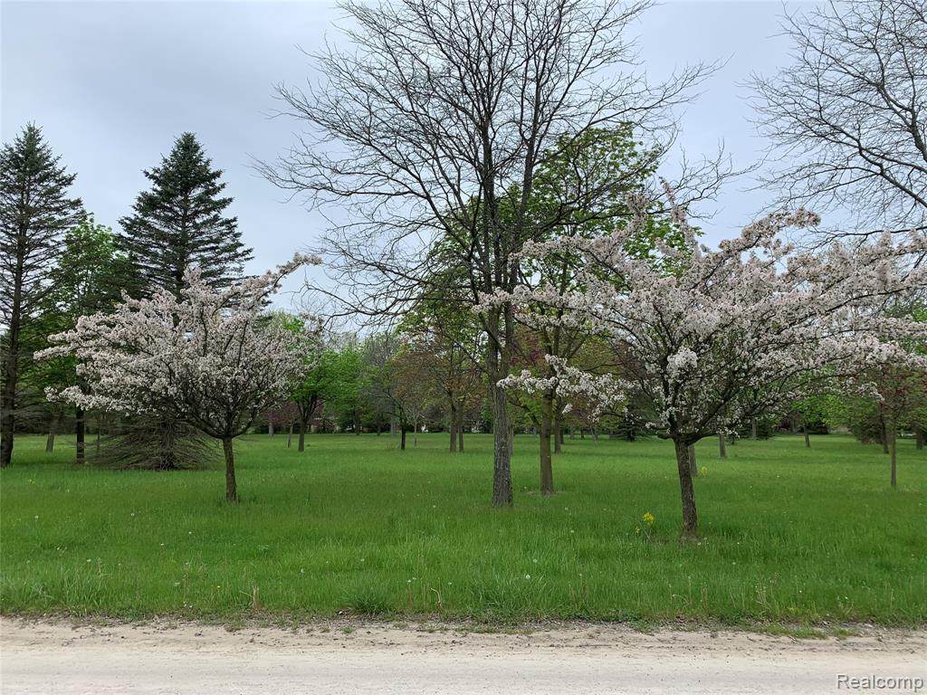 Parcel 1-B Pond Drive - Photo 1