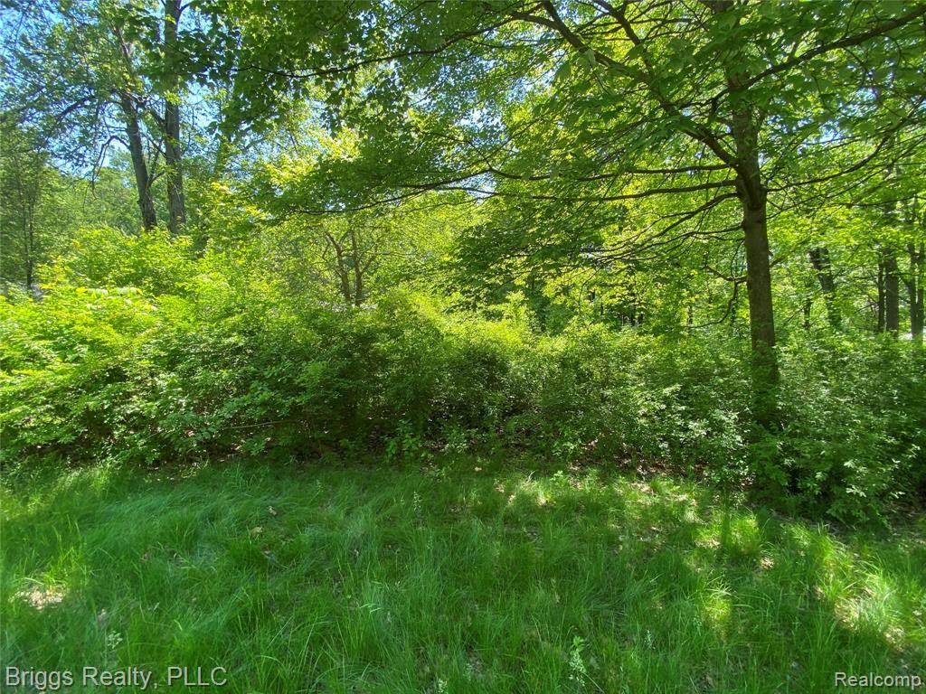 LOT 74 Melrose St - Photo 1