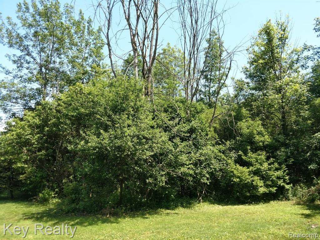 01 Hazelwood Drive - Photo 1