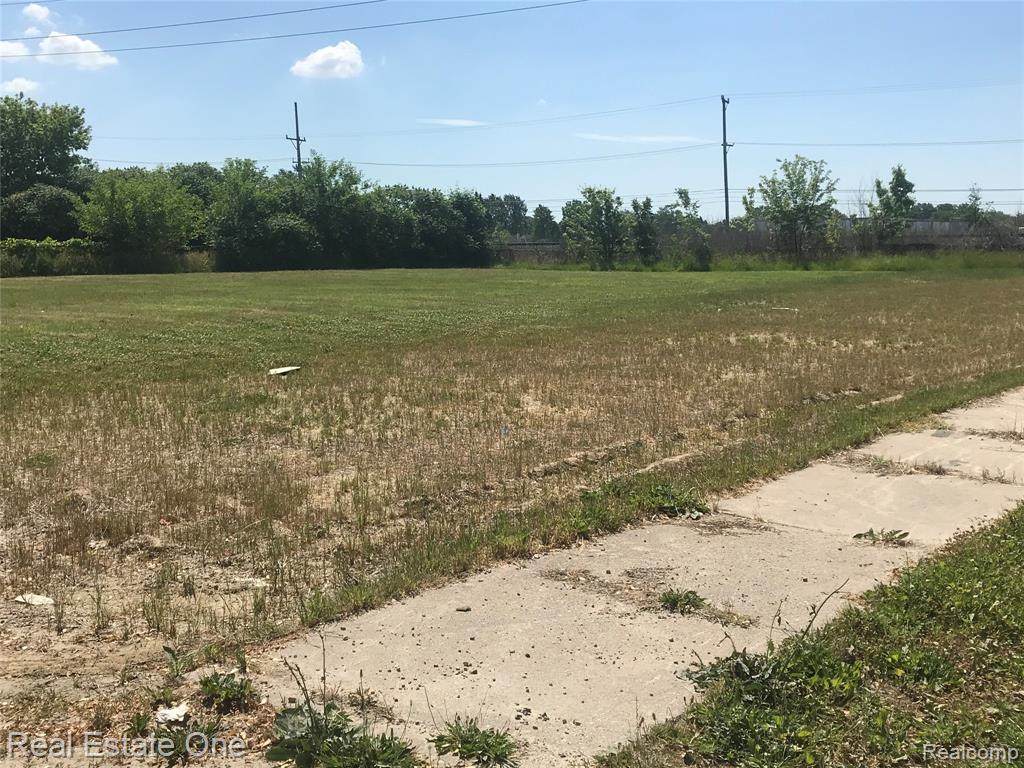 32557 Michigan Avenue - Photo 1
