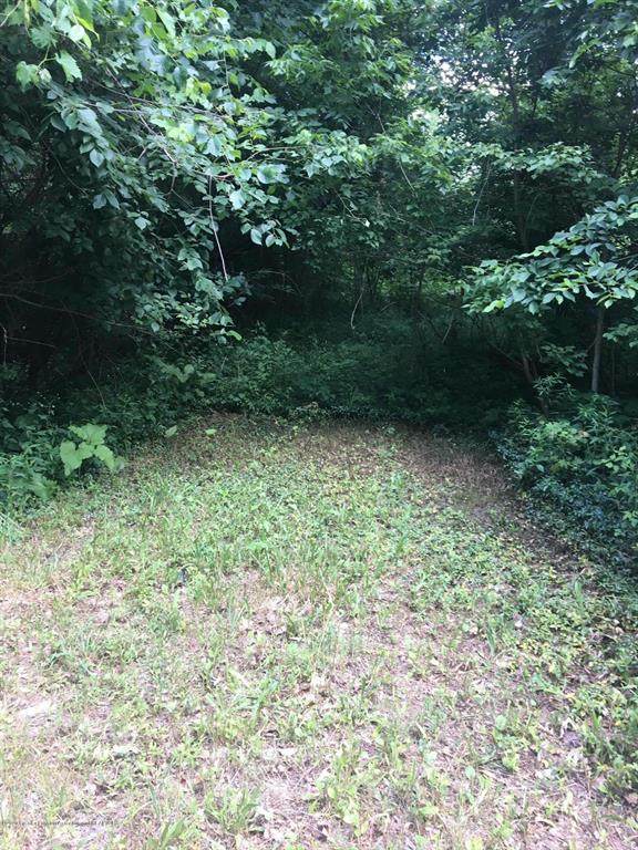 0 Bridge Highway - Photo 1