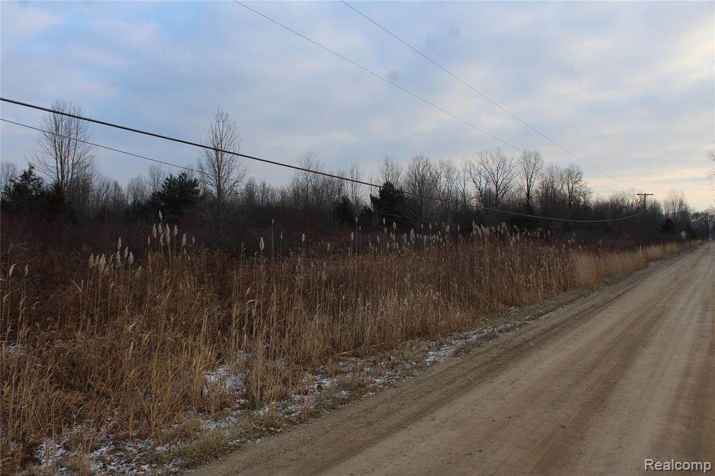 VACANT Arkona Road - Photo 1
