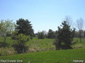8439 Holcomb Road - Photo 1