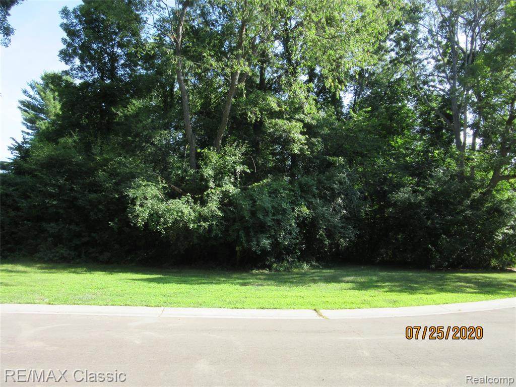 40 Hill Hollow Lane - Photo 1