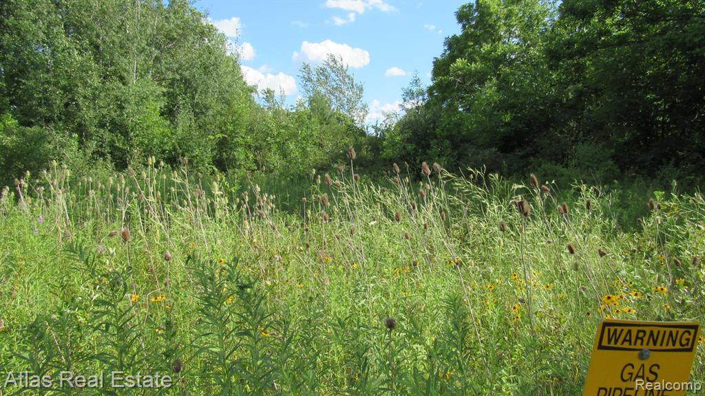 1271 Reid Road - Photo 1