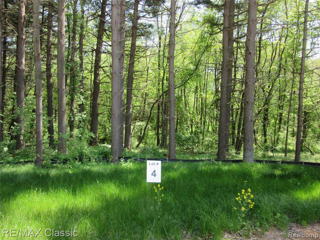 4 Pine Arbor Trail - Photo 1