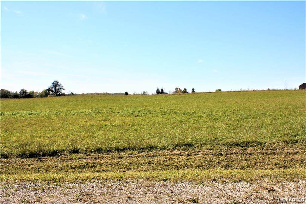 Parcel 3 Imlay City Road - Photo 1