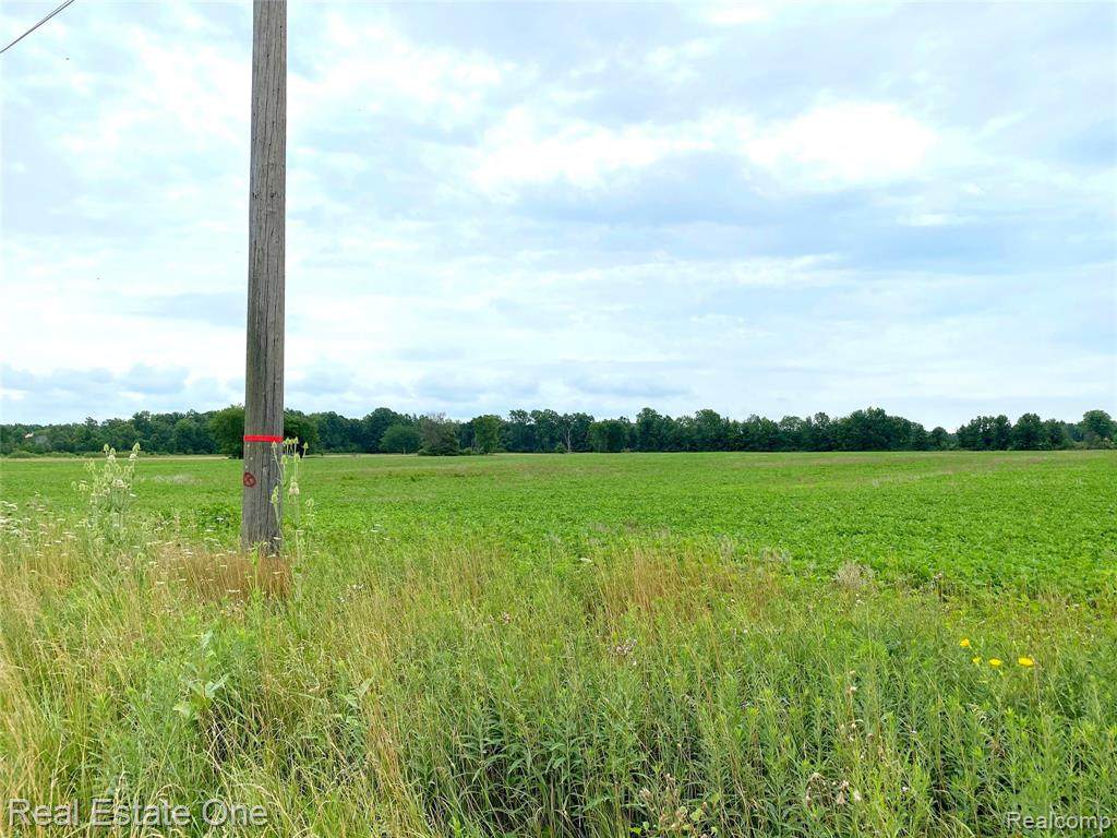 00 Arnold Road - Photo 1