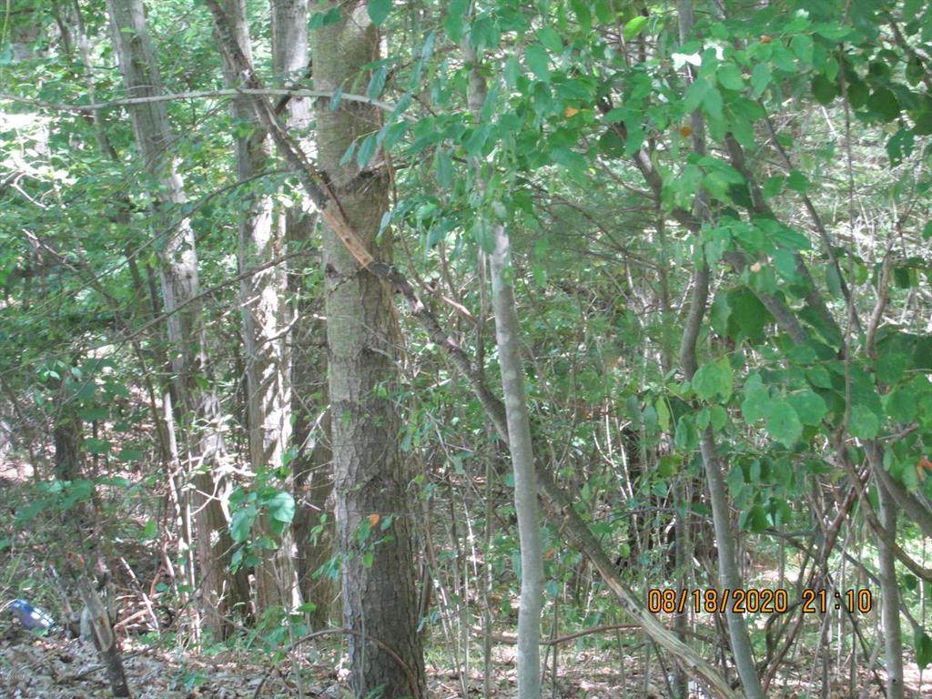 Lot590/591 Hickory Dr. - Photo 1