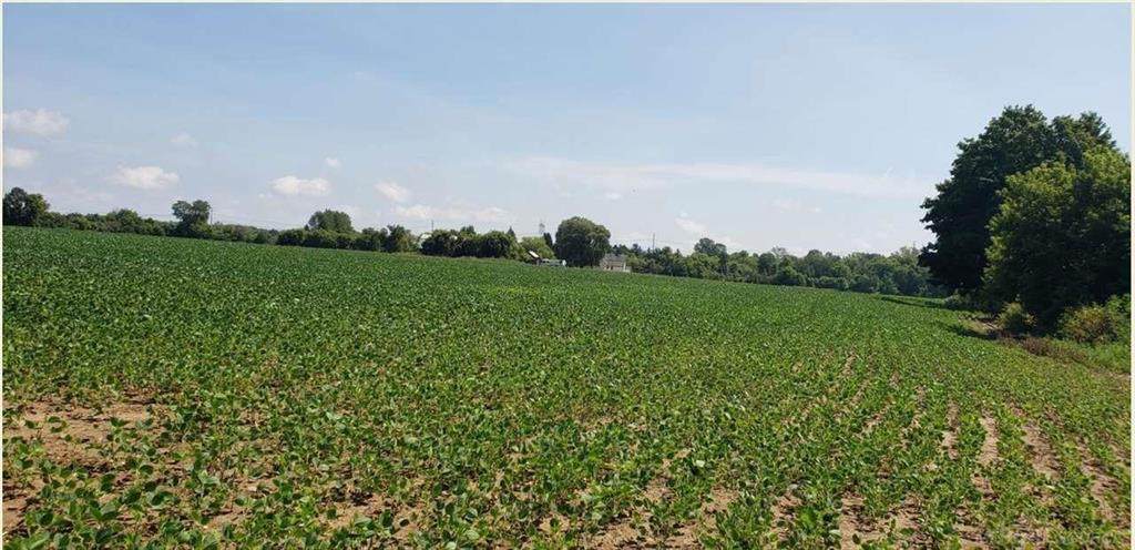 0 Imlay City Rd - Photo 1