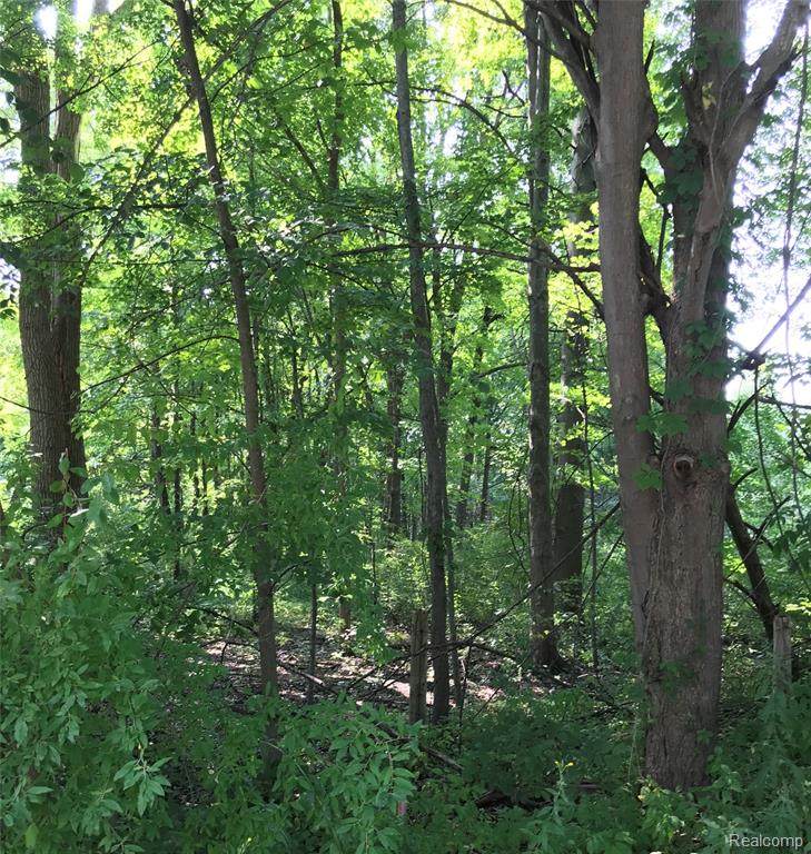 18800 Martinsville Road - Photo 1