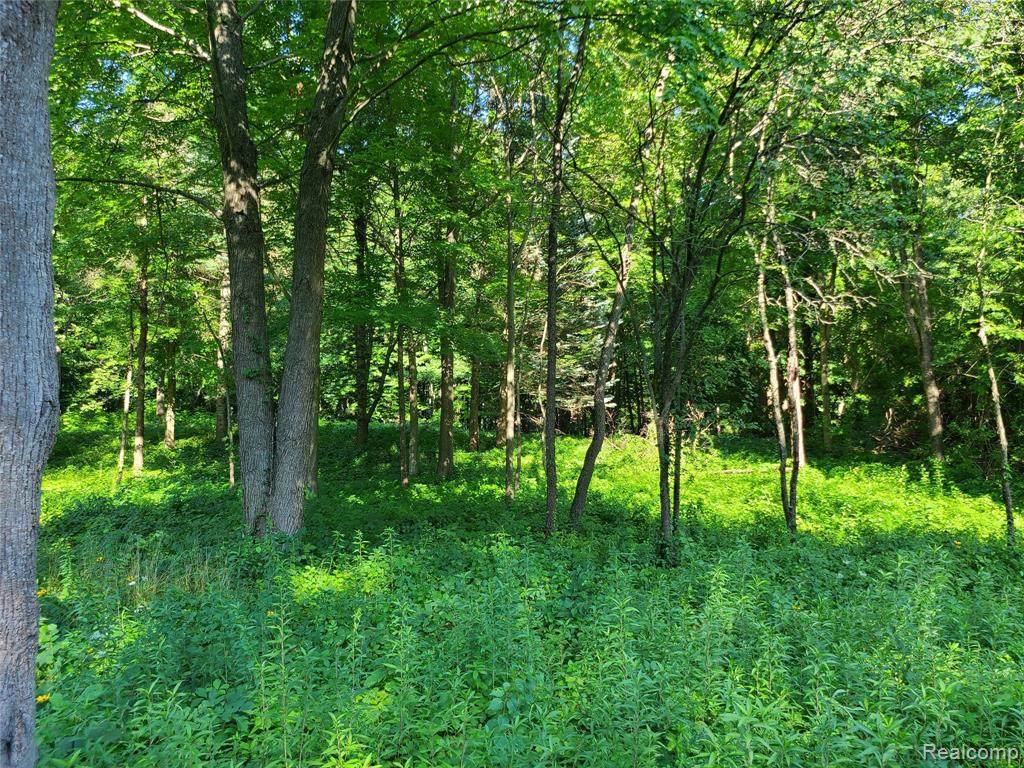 99999 Summit Drive - Photo 1