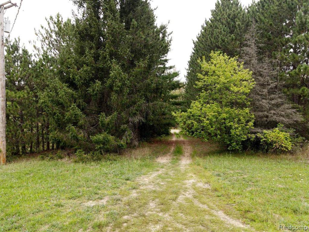 1731 Ambrose Road - Photo 1