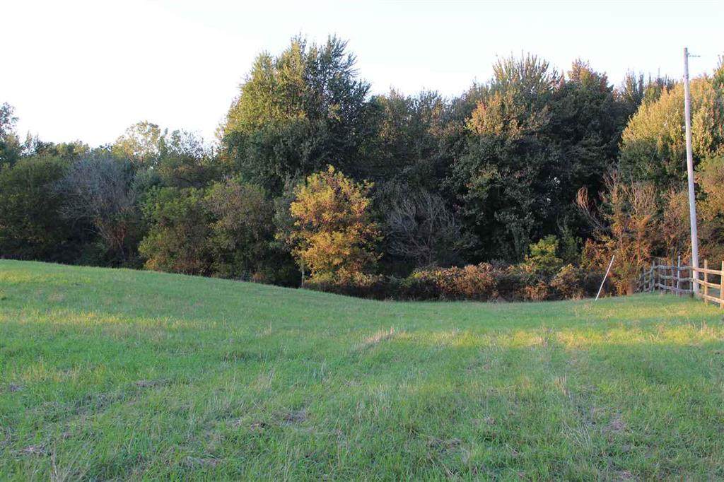 9750 Daugherty - Photo 1