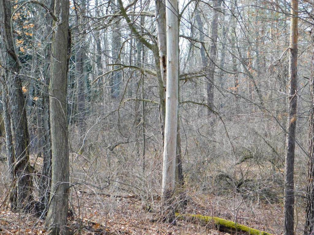 0 M50 - Photo 1