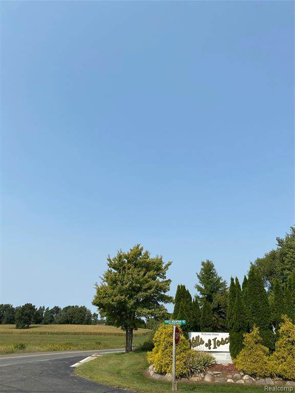 5808 Iosco Mountain Road - Photo 1