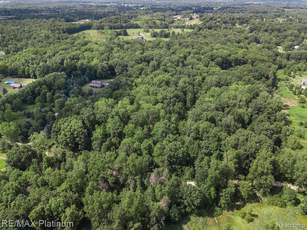 000 Woodhaven - Photo 1