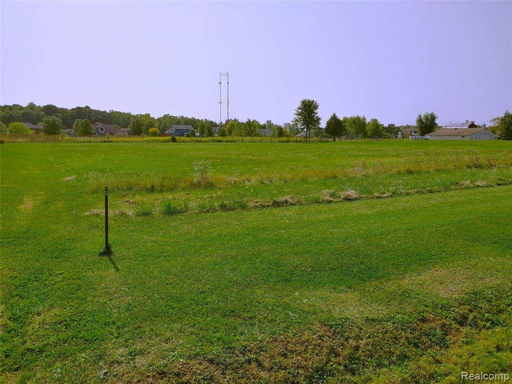 Vacant Felt Road - Photo 1