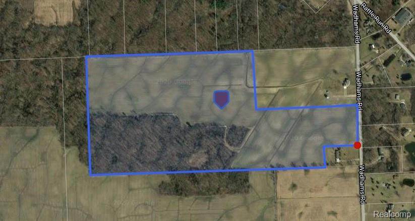 V/L Wadhams Road - Photo 1