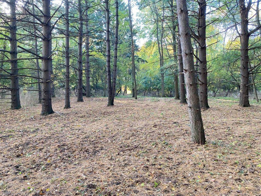 0 Zeeb Road - Photo 1