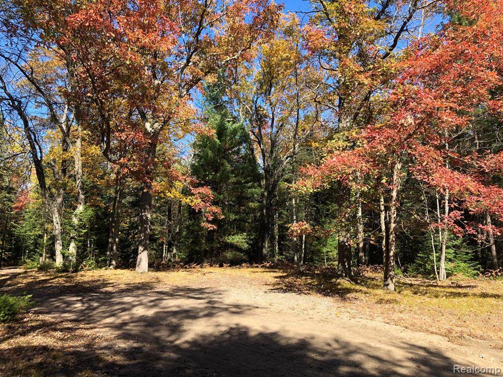 00 Woodbridge - Photo 1