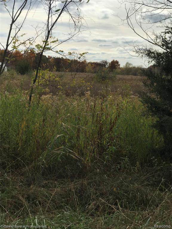0 Faussett- Parcel 1 Road - Photo 1