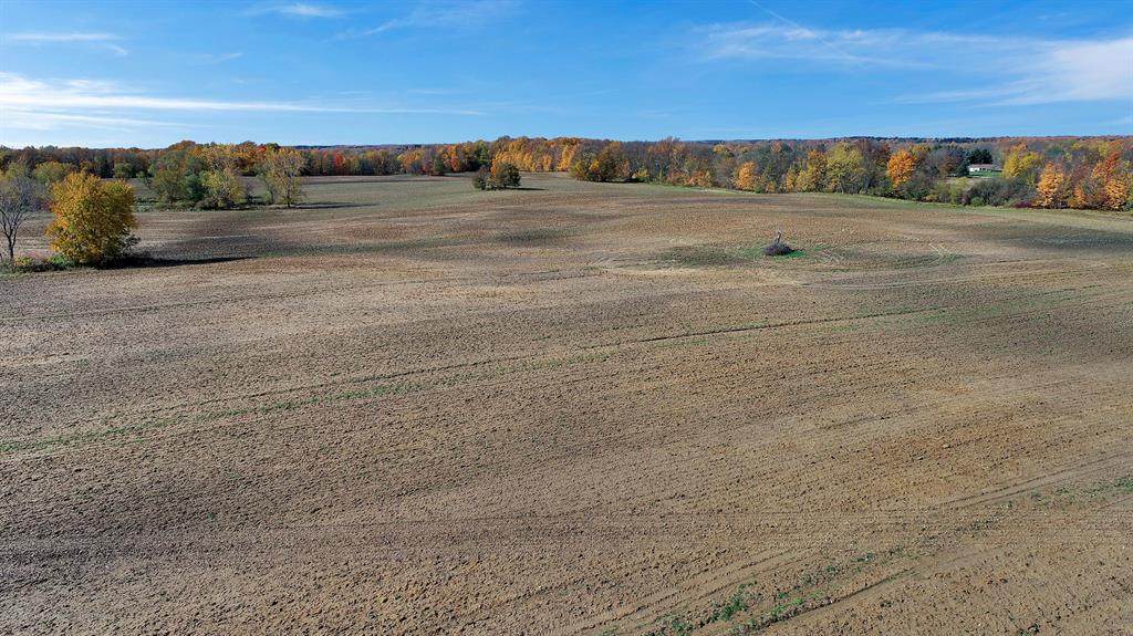 3990 Cochran Road - Photo 1