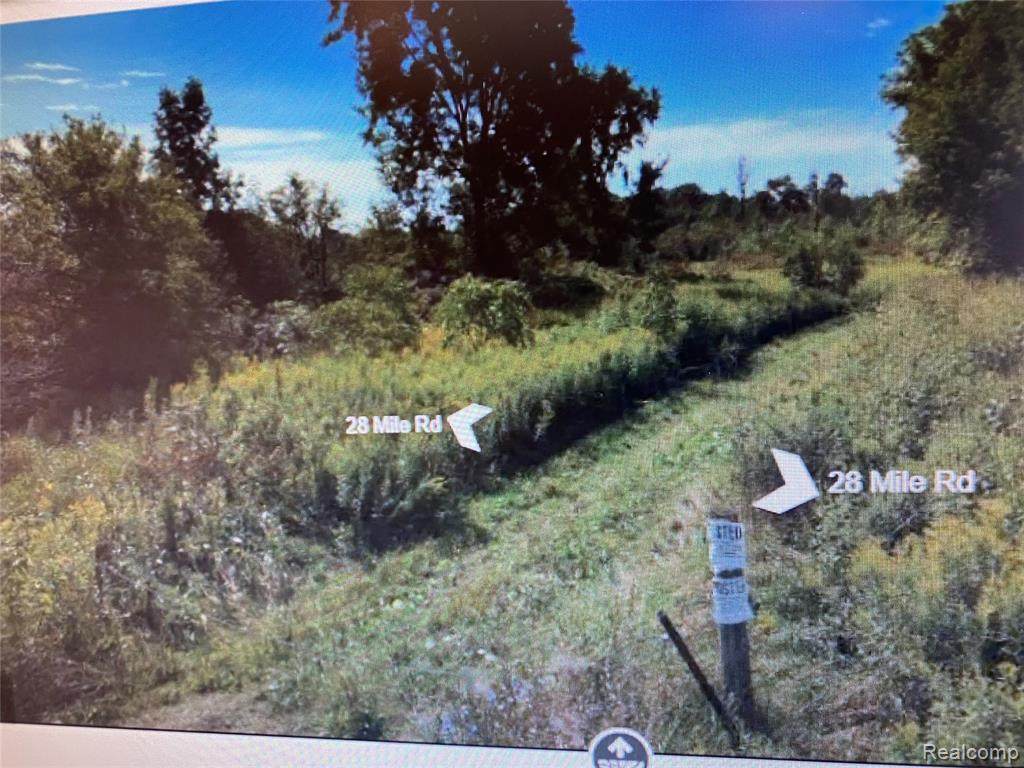 V/L 28 Mile Road - Photo 1