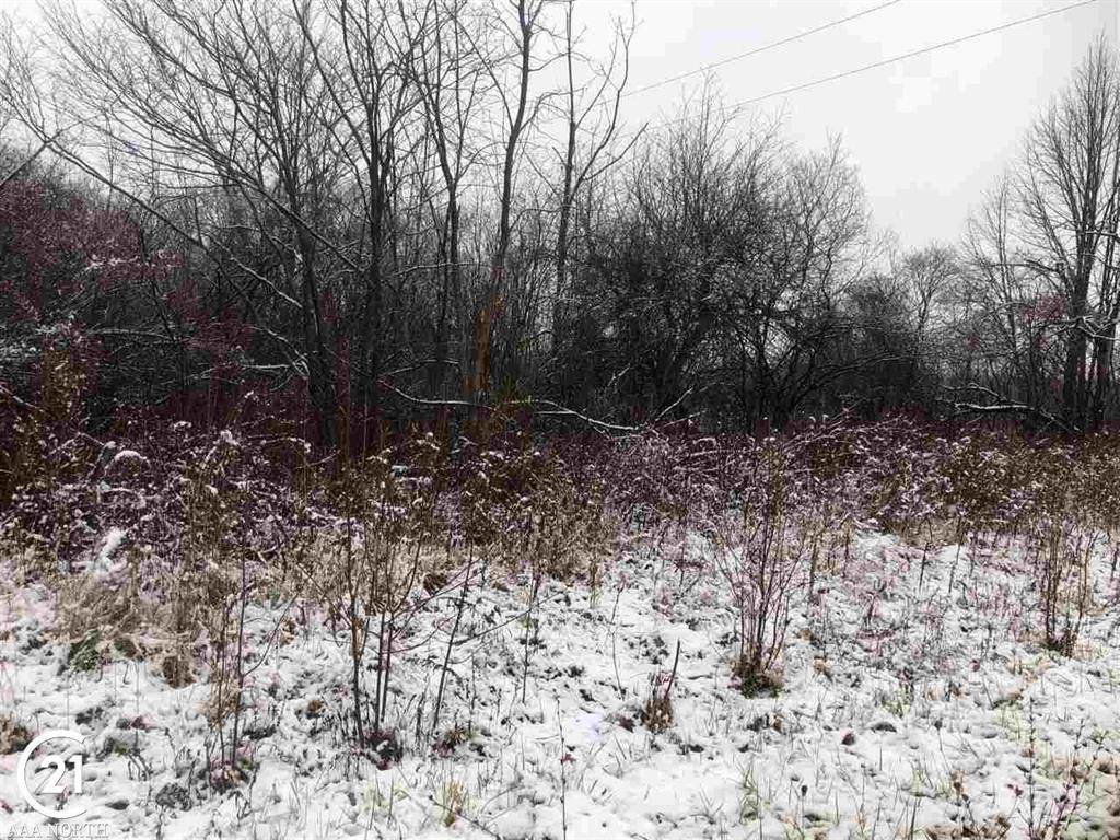 0 Hill - Photo 1