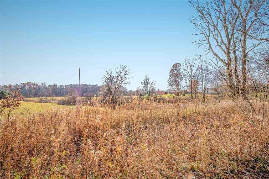 Vacant Land Ladd - Photo 1