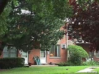 29136 Tessmer Court - Photo 1