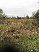 0000 Mount View Road - Photo 1