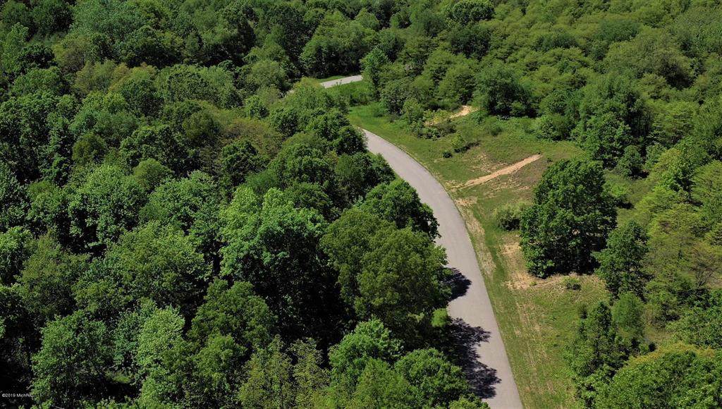 Lot 10 Kuhn Road - Photo 1